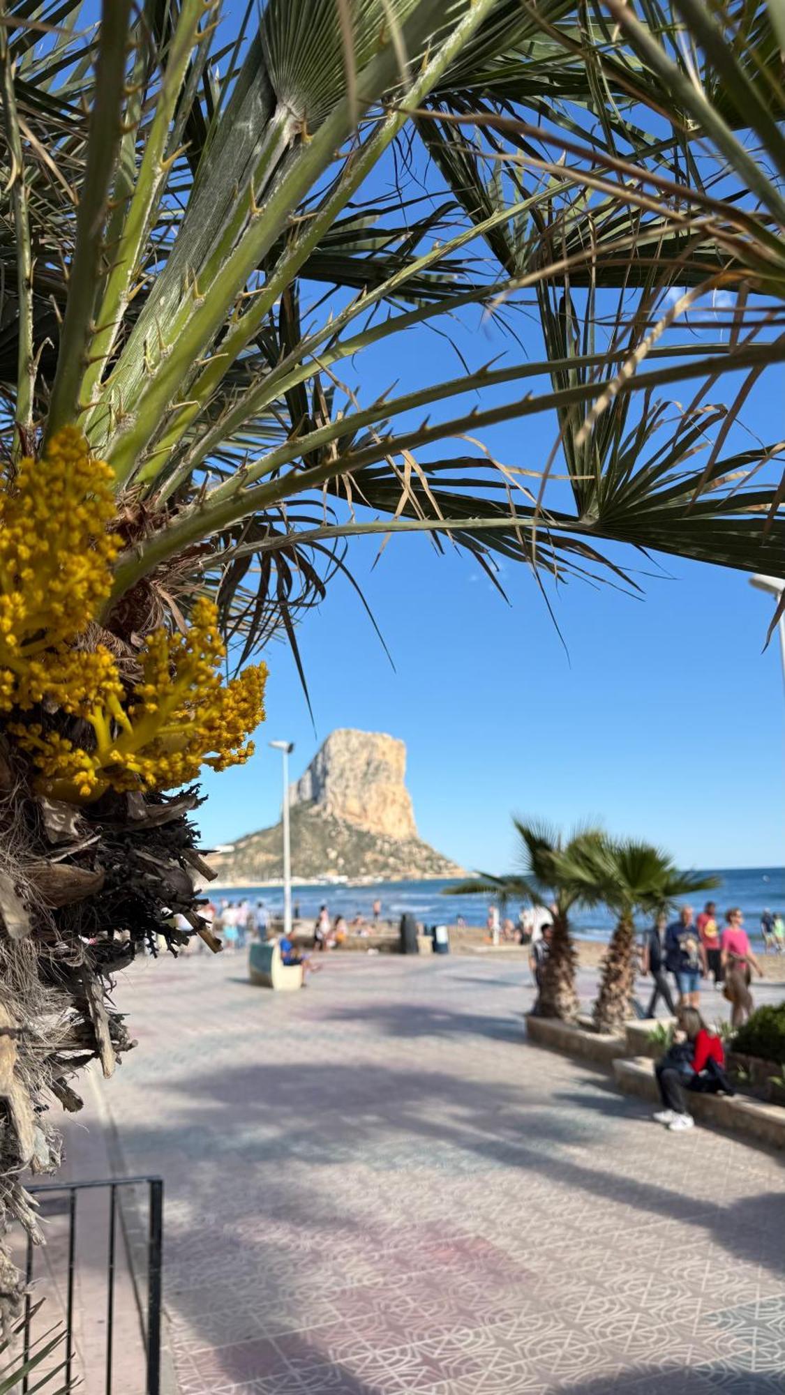 Esmeralda Suites Sunrise Con Piscina Calpe Bagian luar foto