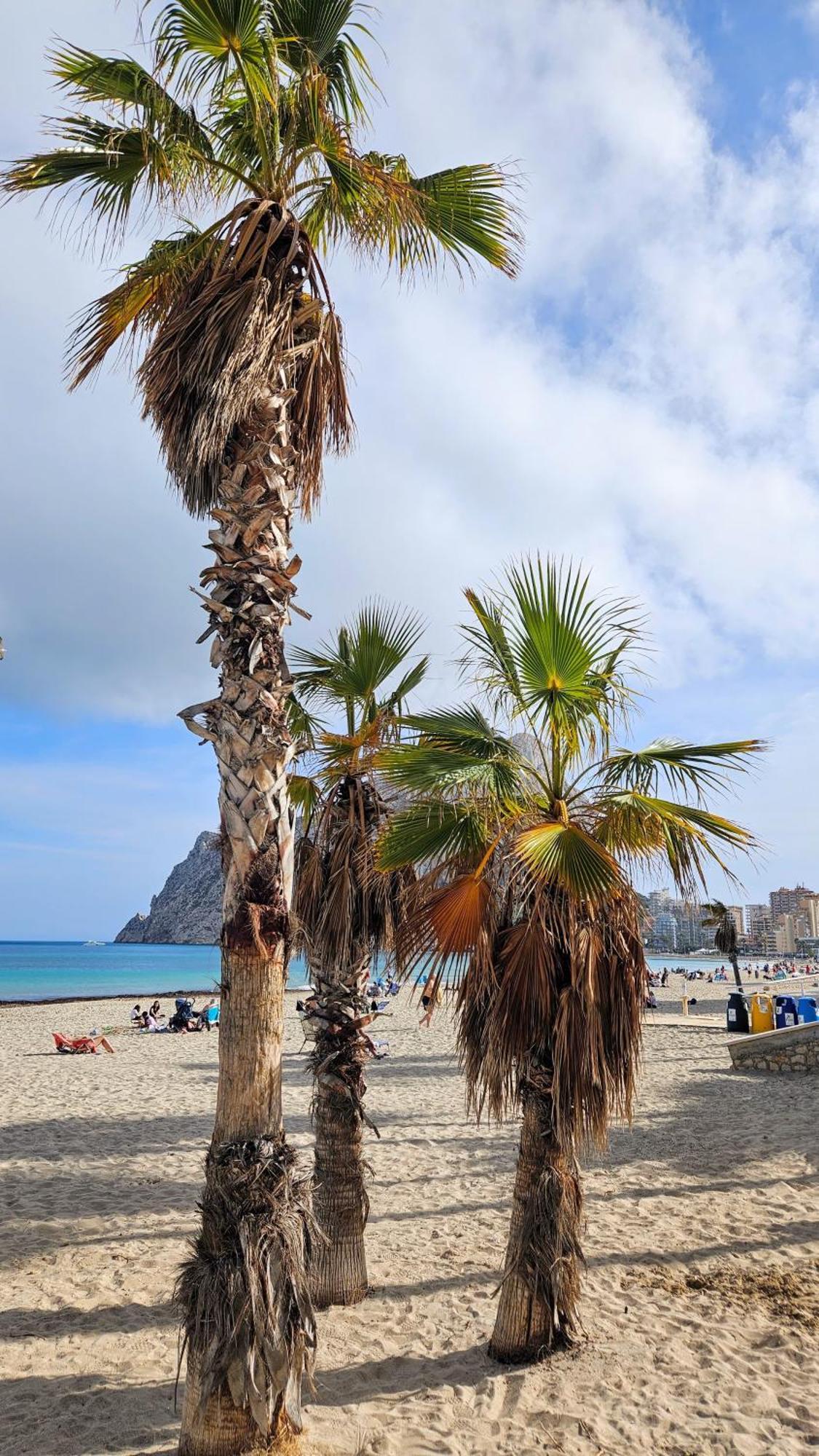 Esmeralda Suites Sunrise Con Piscina Calpe Bagian luar foto